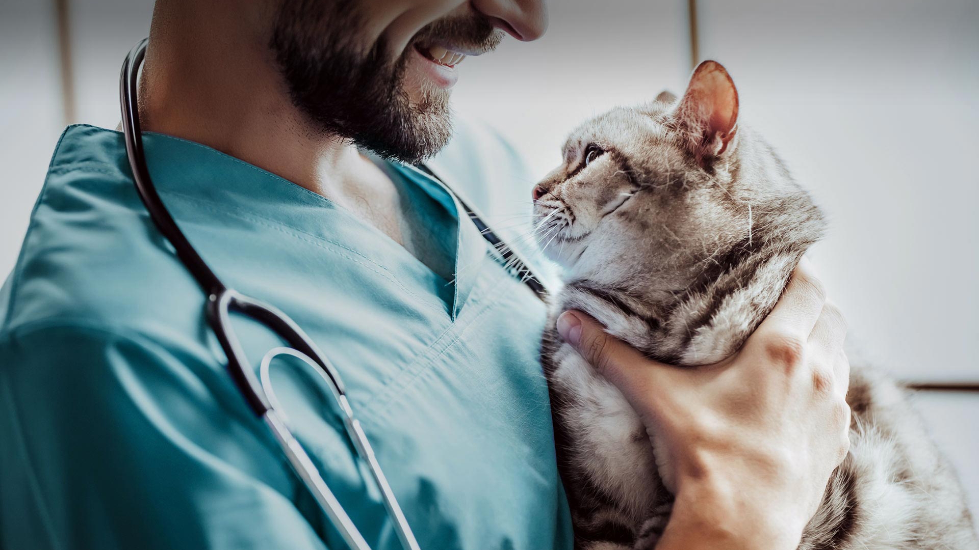 Sındırgı Veteriner